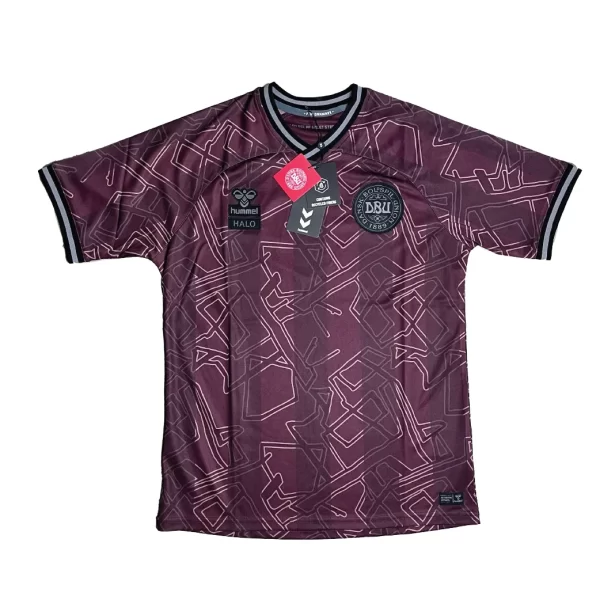 Denmark x Halo 2024/25 Special Edition Shirt