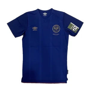 Brentford 2019/20 3rd Commemorative Shirt Front View