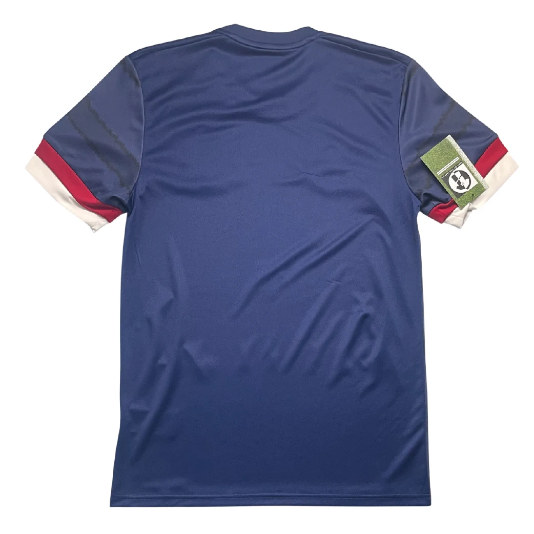 Scotland 2020 Home Shirt Back View