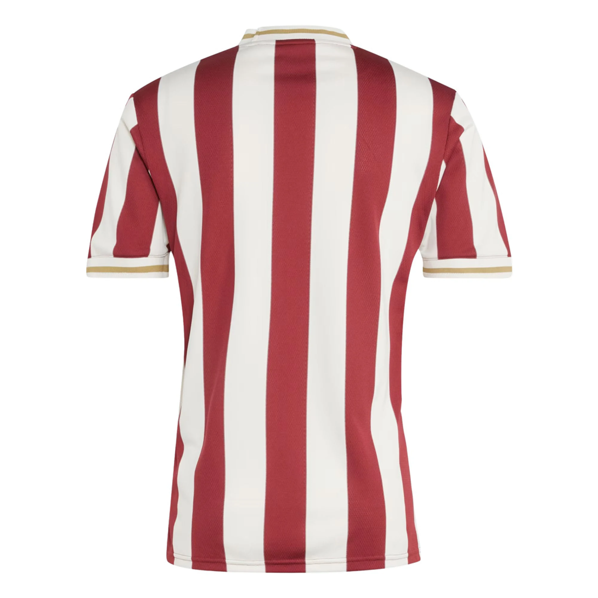 FC Nürnberg 125th Anniversary Shirt Back View